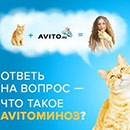 Конкурс  «Avito.ru» (Авито) «Что такое AVITOминоз?»