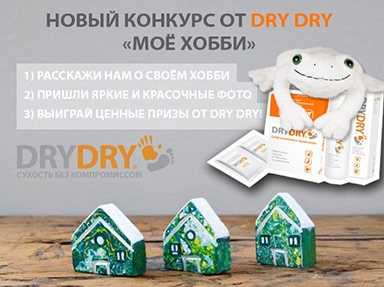 Фотоконкурс  «Dry Dry» (Драй Драй) «Моё хобби»