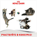 Конкурс  «Royal Canin» (Роял Канин) «Один день из жизни животного»