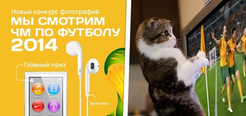 Конкурс  «Petshop.ru» «Мы смотрим ЧМ по футболу 2014»