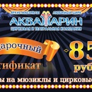 Цирковая и театральная компания «Аквамарин»