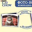 Конкурс  «Cat Chow» «Дикие инстинкты»