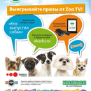 Конкурс от zoo tv - "для тех, кто любит животных!"
