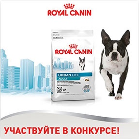Конкурс  «Royal Canin» (Роял Канин) «Royal Canin Urban Lifestyle»