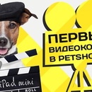 Конкурс Petshop.ru: «Первый видеоконкурс в Petshop.ru»