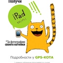 Получи iPad mini за фотографию котейки!
