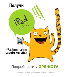 Получи iPad mini за фотографию котейки!