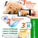 "Полцарства за TiTBiT!"