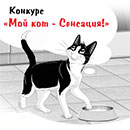 Конкурс  «Felix» (Феликс) «Мой кот - сенсация!»
