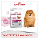 Конкурс Royal Canin: «Royal Canin Indoor Lifestyle»