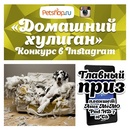 Конкурс Petshop.ru: «Домашний хулиган»