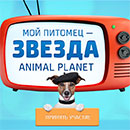 Конкурс  «Animal Planet» «Мой питомец – звезда Animal Planet»