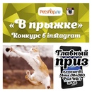 Конкурс Petshop.ru: «В прыжке»