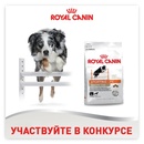 Royal Canin -  Royal Canin Sporting Life