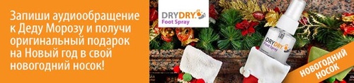 Dry Dry -обращения к Деду Морозу