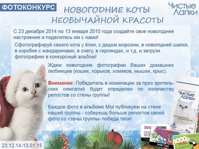 Конкурс  «Чистые лапки» «Новогодние коты необычайной красоты»