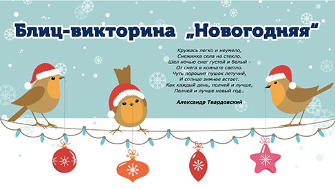 Викторина  «MyToys.ru» «Новогодняя»