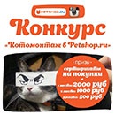 Фотоконкурс  «Petshop.ru» «Котомонтаж в @petshop_ru»