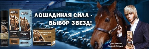 Конкурс Koolinar.ru: «Лошадиная сила – выбор звезд»