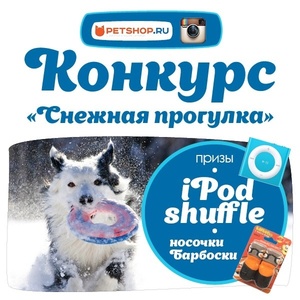 Фотоконкурс Petshop.ru: «Снежная прогулка»