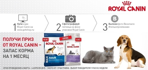 Фотоконкурс  «Petshop.ru» «Cовместный фотоконкурс с Royal Canin»