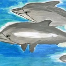 Конкурс  «Долфин» «Конкурс детских рисунков»