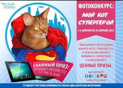 Фотоконкурс  «Чистые лапки» «Мой кот супергерой»