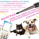 Котики + косметика = сертификаты на покупки в BeautyDiscount.ru