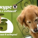 Фотоконкурс  «Petshop.ru» «Как кошка с собакой»