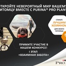 Конкурс  «Pro Plan» (Про План) «Лучший Владелец для Purina PRO PLAN»
