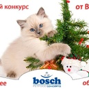 Конкурс  «Bosch Pet» «Новогоднее обращение»