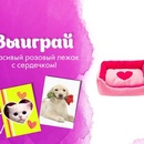 Petshop.ru - фотоконкурс "Выиграйте красивый розовый лежак"