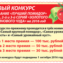 100 000 рублей – за помидор, выращенный из семян Сады России