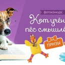 Petshop_ru -"Кот ученый, пес смышленый!" 