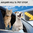 Акция  «Hills» (Хиллс) «Дача Pet Stop»