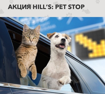 Акция  «Hills» (Хиллс) «Дача Pet Stop»