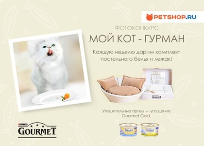 Фотоконкурс Petshop.ru - "Мой кот - гурман!"