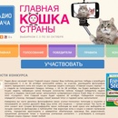 Конкурс Радио Дача: Главная кошка страны