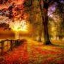 Мед Круг-Осенняя фотосказка