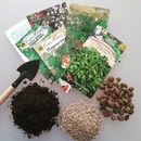 Совместное выращивание пряных трав