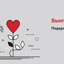Конкурс магазина «М.Видео» (www.mvideo.ru) «День доброты»