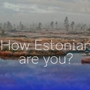 Виихторииинна МИД Эстонии "Насколько ты эстонец?"