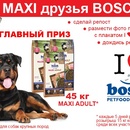 Конкурс Bosch Pet: «MAXI друзья Bosch!»