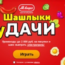 Акция магазина «М.Видео» (www.mvideo.ru) «Шашлыки уДачи»