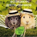 Фотоконкурс "Я на Солнышке лежу"