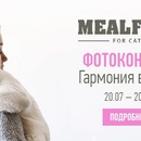 Фотоконкурс Четыре лапы: «MEALFEEL. Гармония в доме»