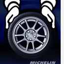 MICHELIN - Подарок за отзыв о шинах MICHELIN
