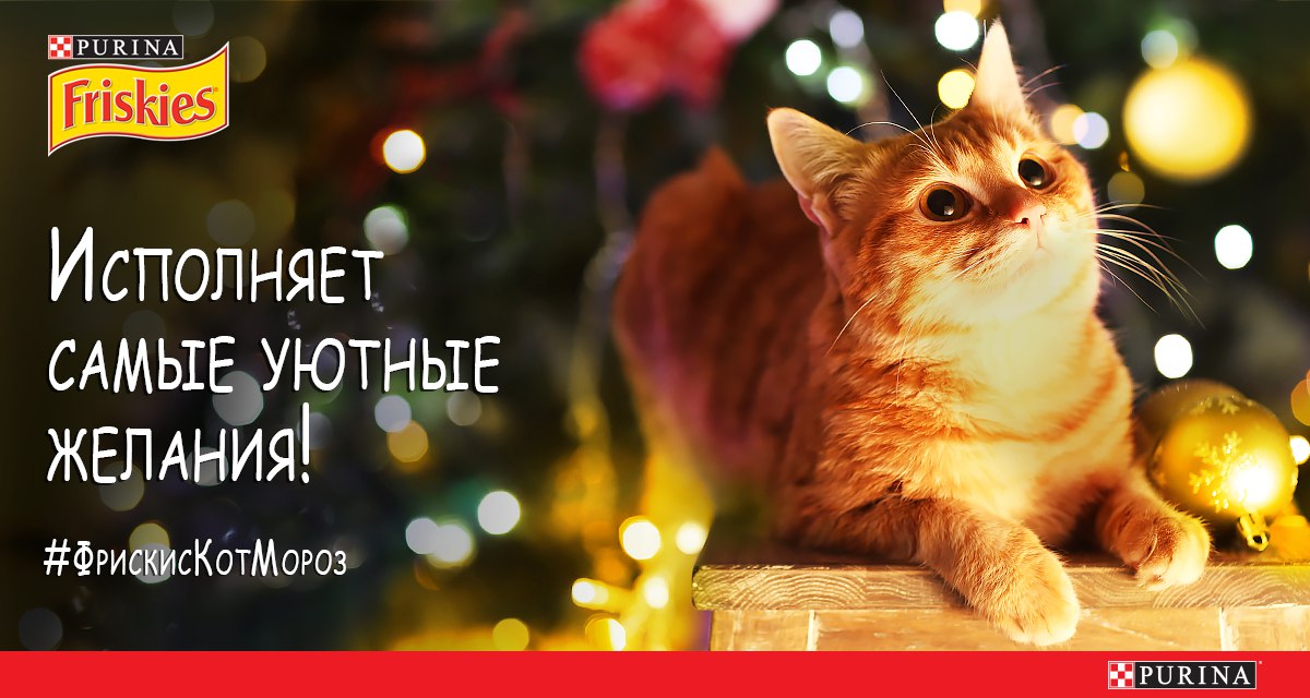 Старый Новый Год Коты