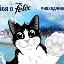 Конкурс  «Felix» (Феликс) «#находчивыйfelix!»