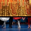 Конкурс журнала «Euromag» «В Питер на балет»